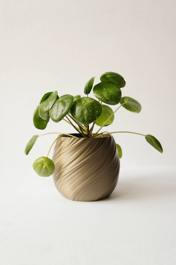 Eco Friendly Indoor Planter | Silk Wave 3D Printed Pot Decorative Vase Zen Garden Inspired