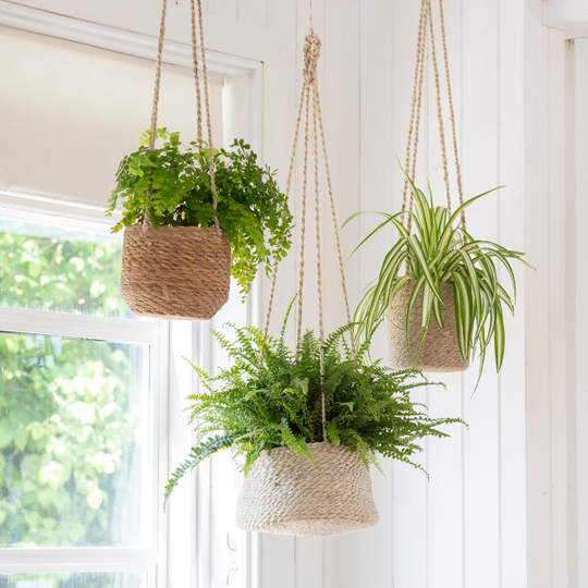 Jute And Seagrass Hanging Planters