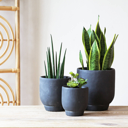 Black 'Ivon' Planters