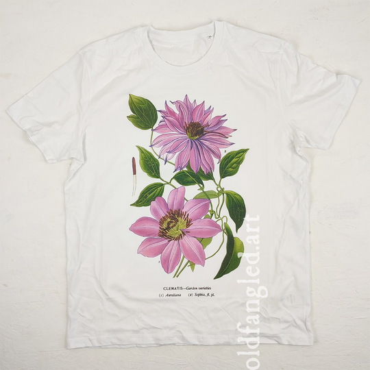 Clematis | 1896 - Unisex Organic T-Shirt, Vintage Style Botany T-Shirt, Floral T-Shirt