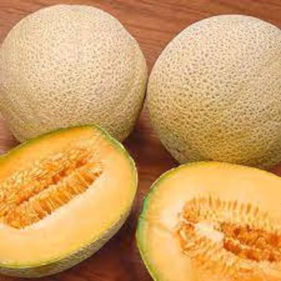 Honey Rock Melon Seeds, Us Non Gmo Heirloom Organic, Free Seeds With Order