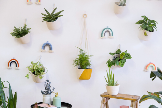 Colour Block Hanging Planter, Macrame Plant Hanger, Plant Hanger, Painted Hanging Plants, For Indoor Colour Block