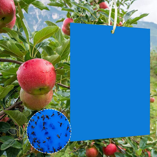 20PCS Flying Insect Trap Adhesive Double Sided Adhesive Trap Blue Sticker Garden Plant Flower Fruit Protection Waterproof Insect Repellent Paper