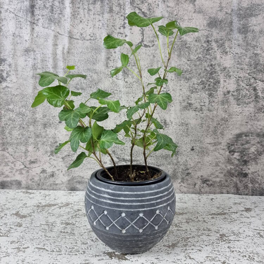 Black Aztec Pot Planter