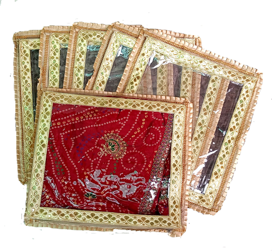Transparent Sari Bags - Saree Storage Bag Dress Keeping Plastic Cloth Organizer Case Wedding Supply Set Of 6 Pc-Express Shipping