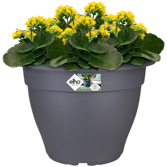 Flowerpot Torino Campana Plant Pot Round Planter Indoor Outdoor Flower Box Plastic Anthracite 7 Liter (de) - Elho