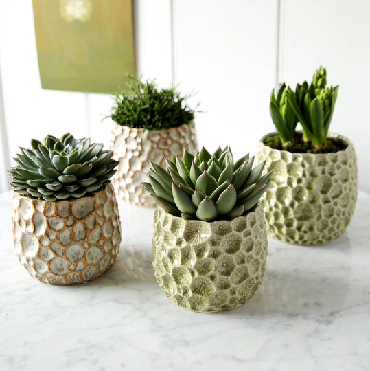 Astro Ceramic Plant Pot