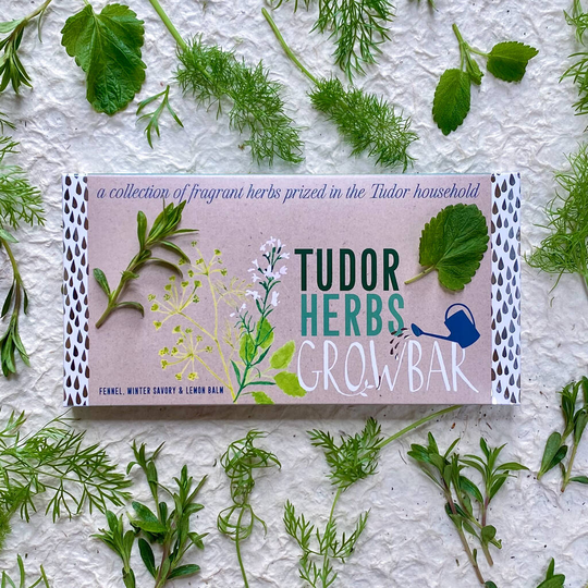 Tudor Herbs Growbar