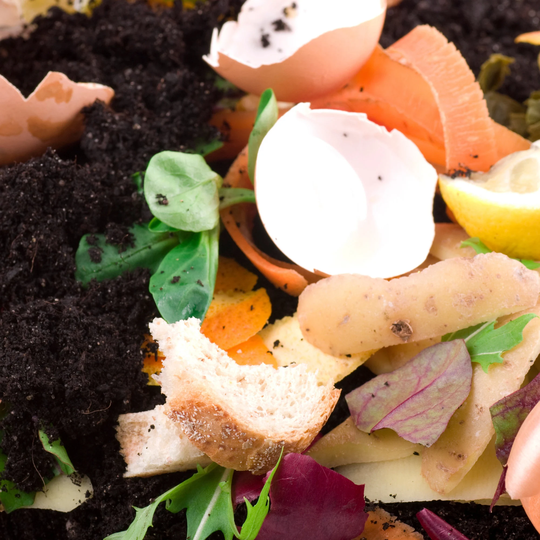 Organic Fertilizer By Green Grub Group | Premium Insect Frass All Natural Sustainable