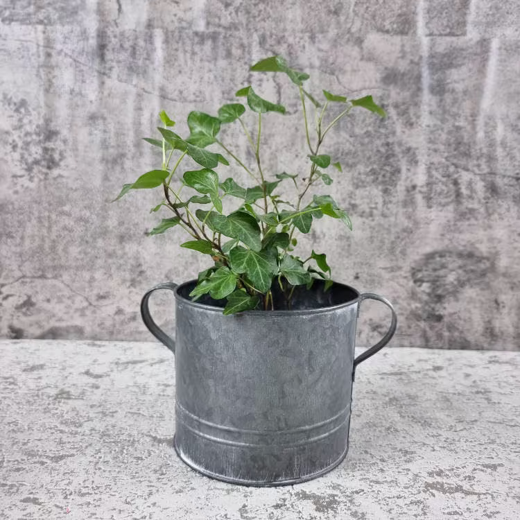 Galvanised Metal Pot Planter