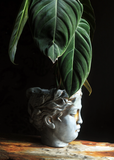 Goddess Head Planter