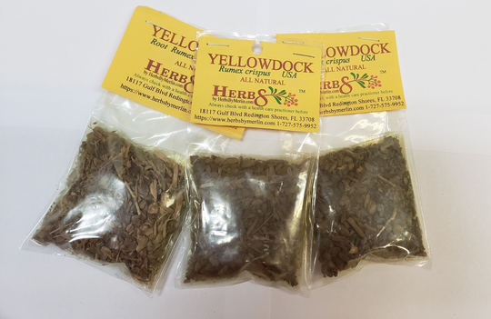Yellow Dock | Rumex Crispus