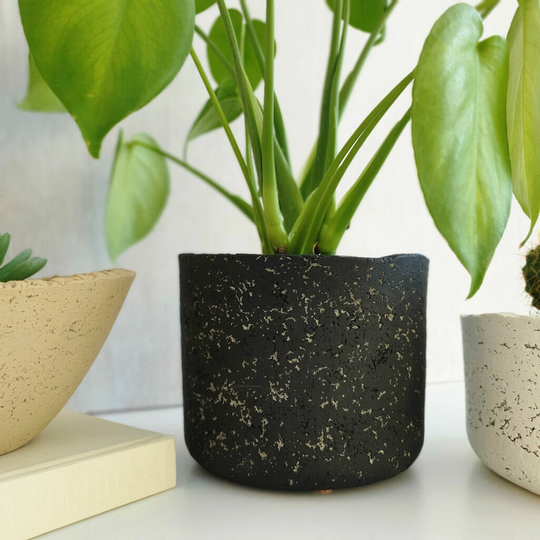 Black Concrete And Recycled Paper Cylinder Planter