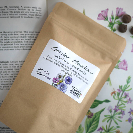 Wildflower Seed Scatter Bags 100 Balls