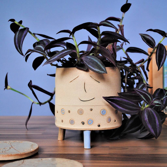 Smiley Face Personalised Planter Purple Blue Dots
