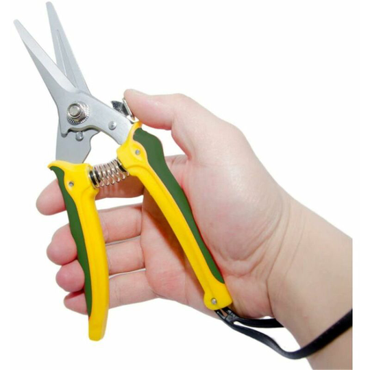 Specialists Foot Rot Resistant Shears Hoof Shears for Sheep and Horses Trimming Prunings 55 (mm)
