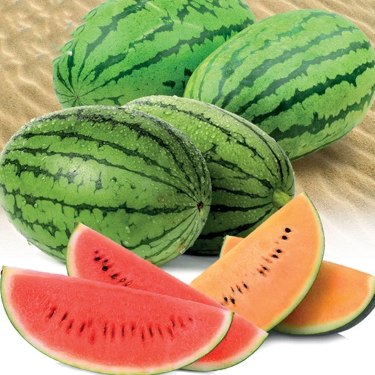 Watermelon Sherbet Mix Seeds Heirloom Non Gmo For Planting | 203976