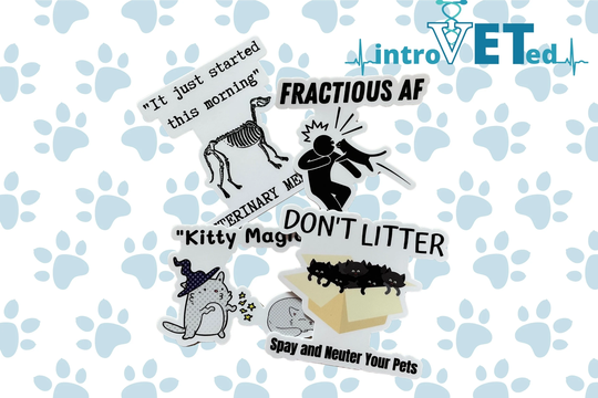 Veterinarian Sticker, Vet Student Veterinary Stickers, Cat Dog Funny Vet Veterinarian Gift, Tech