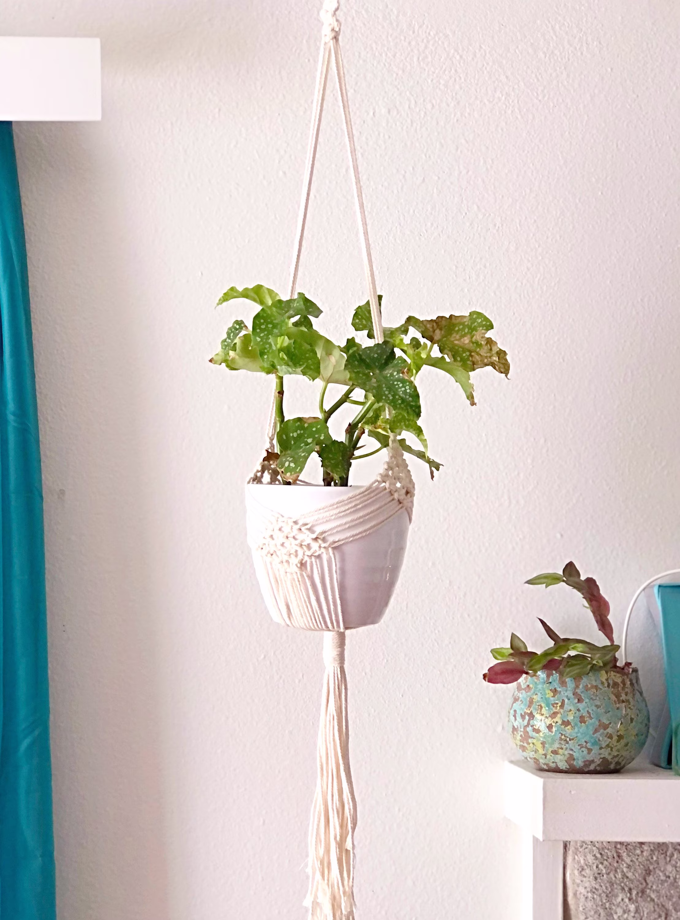 Plant Hanger Macrame, Macrame Ceiling Plant Hanger, Indoor Hanging Decor