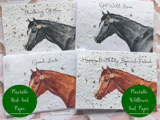 Plantable Greetings Card, Wildflower Or Herb Seed Paper Attached To Recycled White Personalised Horse Card