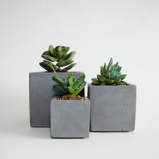 3-Set Charcoal Square Concrete Planters