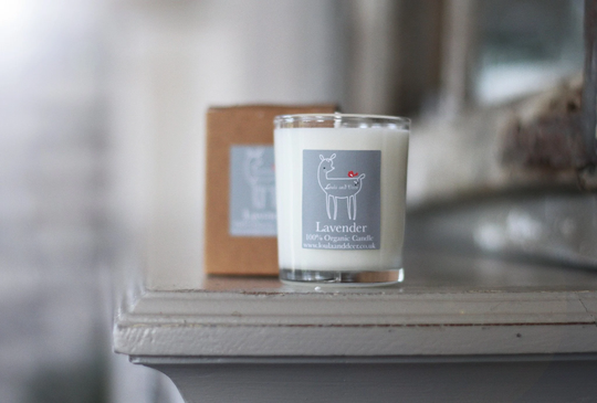 Organic Vegan Pregnancy Therapy Candles