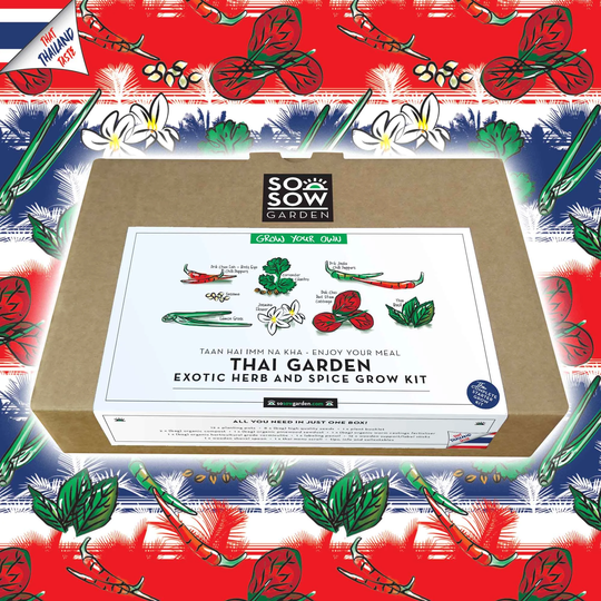 Thai Garden Grow Kit - Herb & Spice Collection Your Own Chilli Lemon Grass Pak Choi Coriander- Basil Jasmine