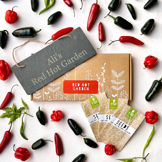 Red Hot Chilli Garden Gift