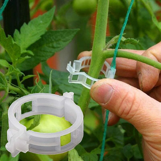 100 Pack Garden Plant Clips, Tie Plants Twine Vine Trellis Cages Vine Vegetable Tools Grafting to Grow Healthier Straight Plants