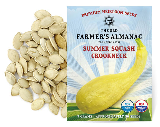 The Old Farmer's Almanac Heirloom Summer Squash Seeds | Yellow Crookneck