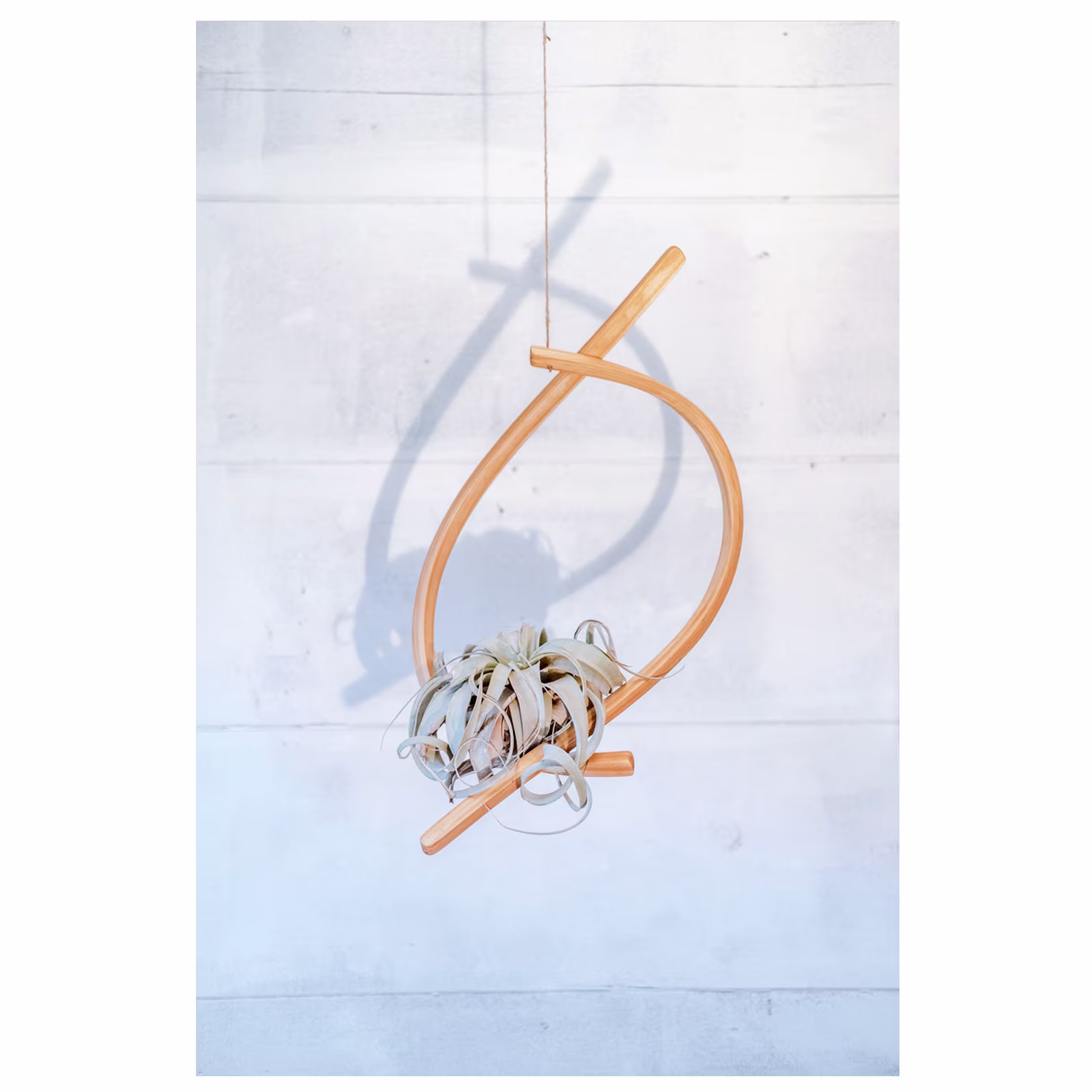 Sail Wood Plant Hanger, Air Display, Hanging Planter Indoor, Indoor Planter, Holder, Modern Display