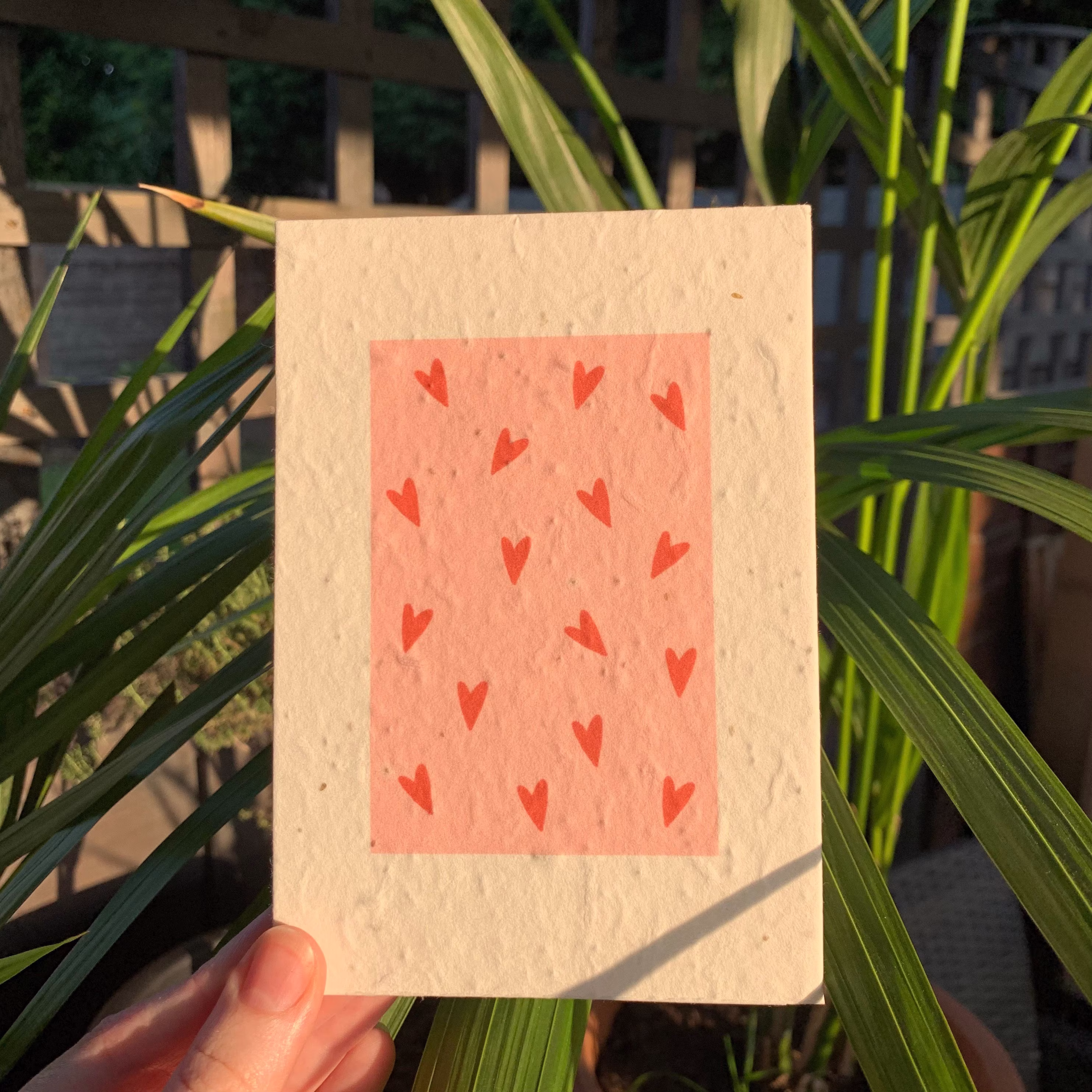 Pink Heart Design Plantable Seed Card - Blank Greeting Card, Anniversary, Mothers Day, Eco-Friendly, Biodegradable