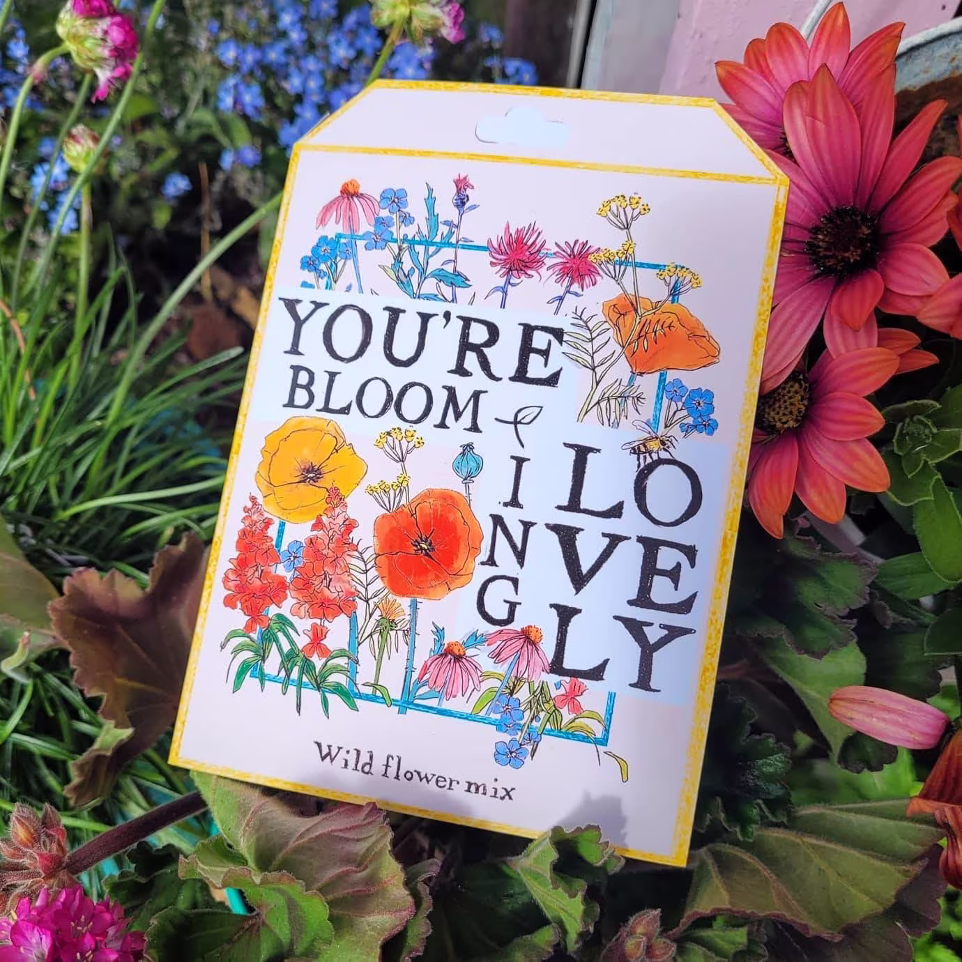 Wildflower Seed Packet Greeting Card | Seed Assortment in Each Card