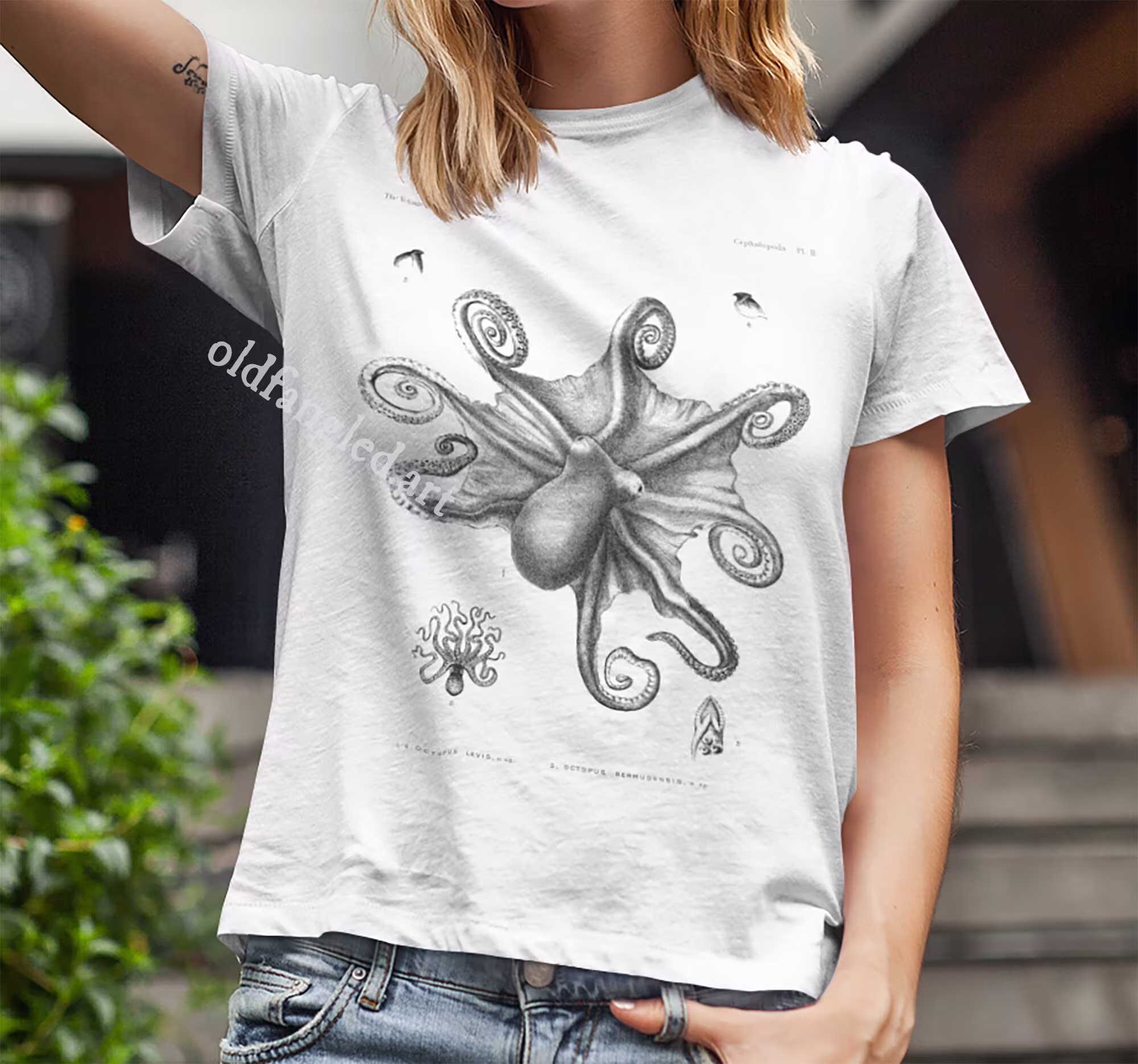 Muusoctopus Levis | 1886 - Unisex Organic T-Shirt, Vintage Style Zoology T-Shirt
