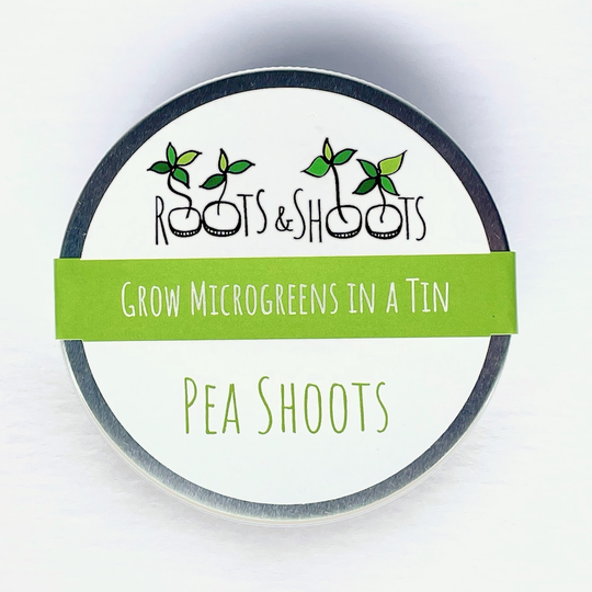 Grow Your Own Pea Shoots Microgreens In A Tin