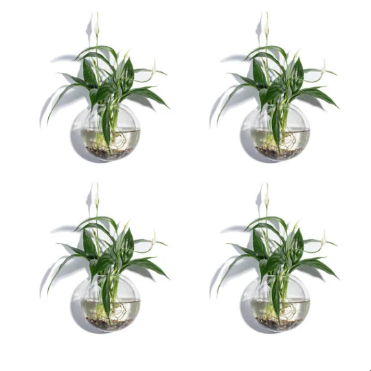 Set Of 4 - 4