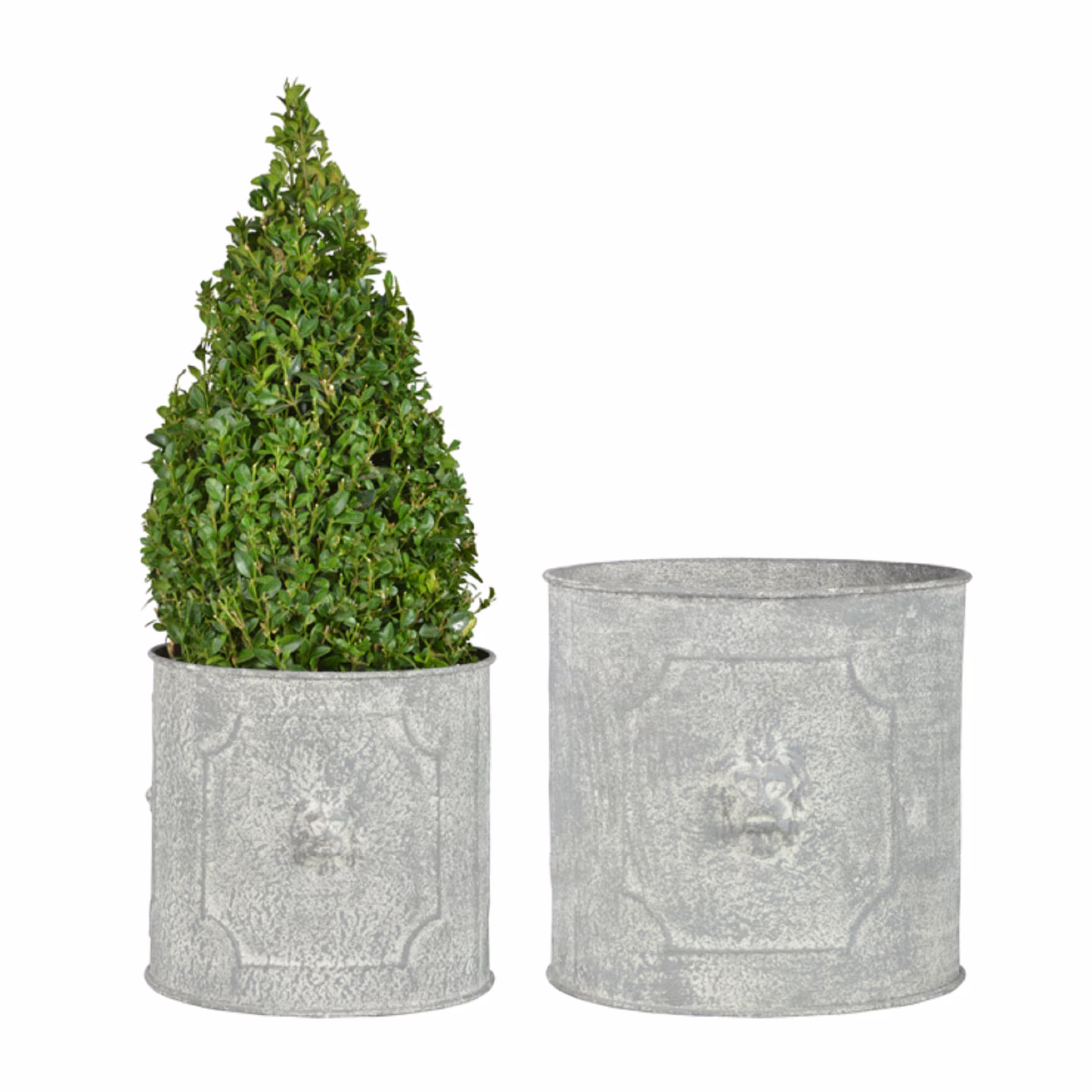 Set Of 2 Round Lion Head Planters
