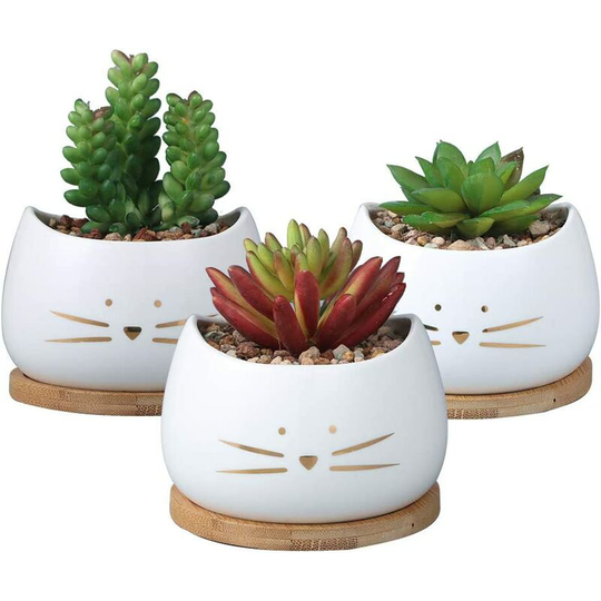 Briday - 3.2 Inch Cute Cat Ceramic Succulent Planter Pots with Removable Saucer Unique Cactus Planters Porcelain Decorative Flower Pot for Cat Lovers