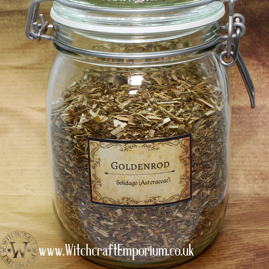Goldenrod - Herb Organic Natural Vegan Pagan Wicca Wiccan Spell Potion Ritual Magic Magick Energy Tea