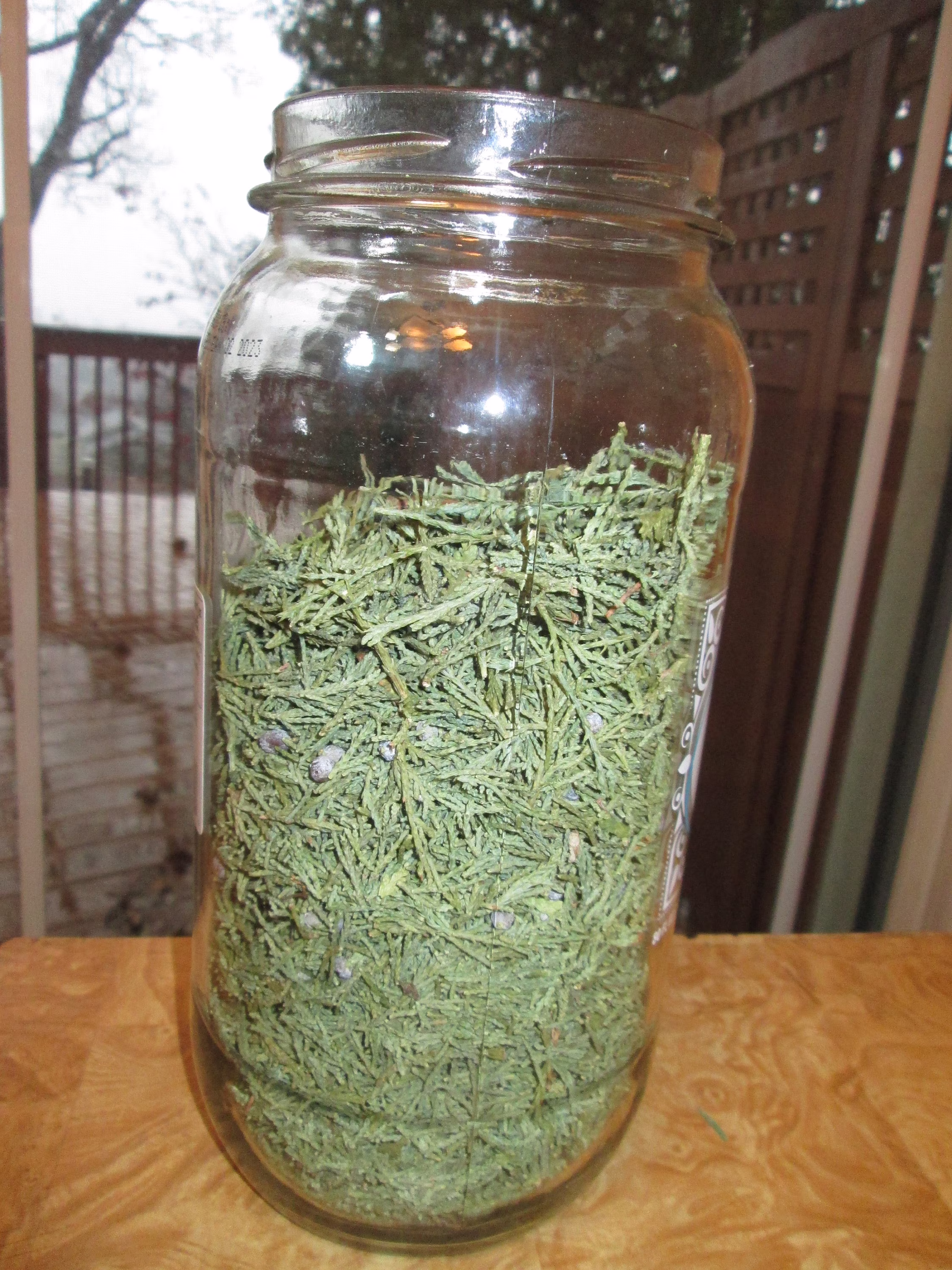 Dried Cedar Leaves- Eastern Red Virginian Juniper | Juniperus Virginiana Needles- Dry Tips - Loose Needles