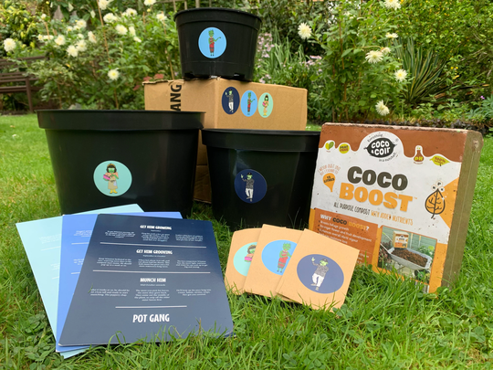 Grow-Your-Own Veg & Herb Kit | Gardening Gift For Beginners