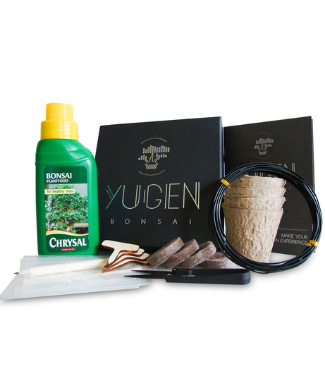 Essential Bonsai Growing Kit