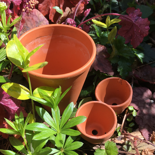 Vintage Terracotta Plant Pots