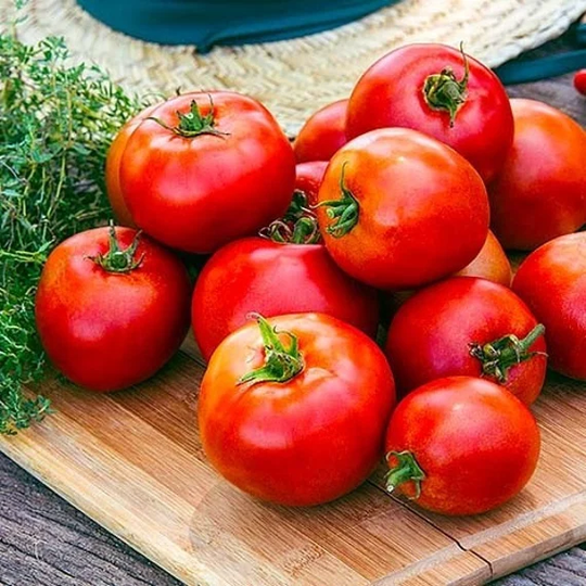 Tomato Seeds Favorite