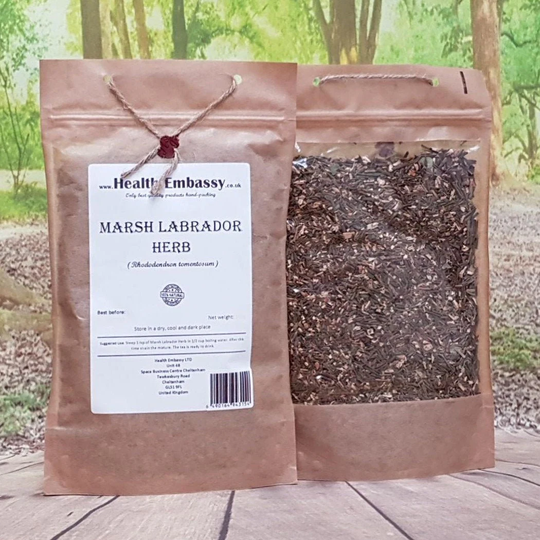 Marsh Labrador Herb Tea/Ledum Palustre | Rhododendron Tomentosum - Health Embassy