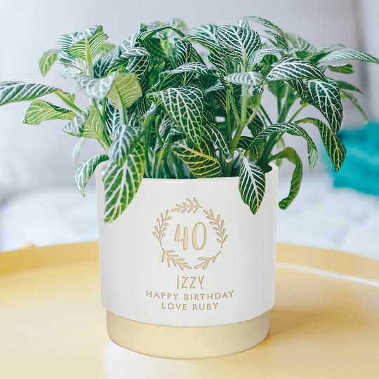 Personalised 40Th Birthday Indoor Plant Pot, Engraved To Order, Celebrate Any Significant Special With Our Unique Bespoke Gift
