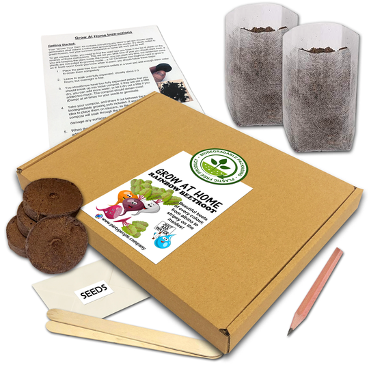 Grow Your Own Rainbow Beetroot Kit | Flat Pack At Home - Ideal Birthday Gift, Great Fathers Day Gift