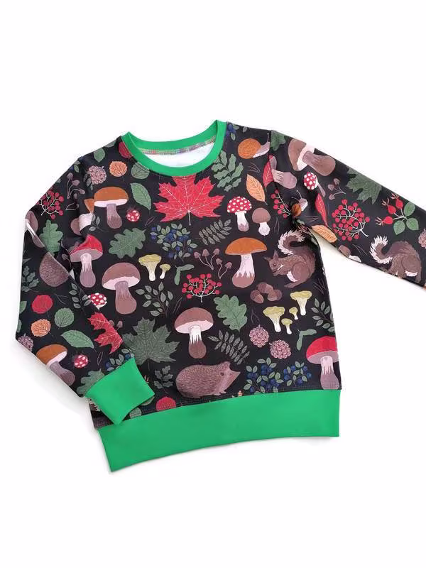 Woodland Themed Baby & Kids Organic Cotton Sweatshirt Jumper. Toadstools, Squirrels Hedgehogs Autumn Print Sweater
