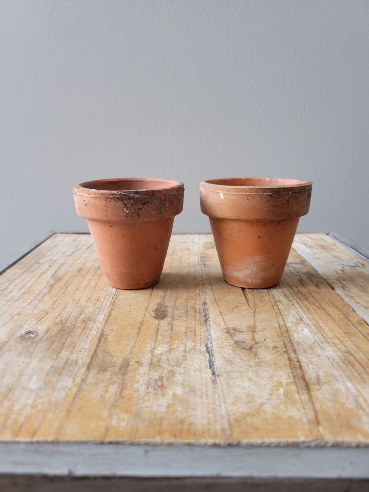 Vintage Set Of 2 Terracotta Clay Pots. Old Flower Planters With Patina. Vases. Succulent Planters. Usa Pottery. Pots