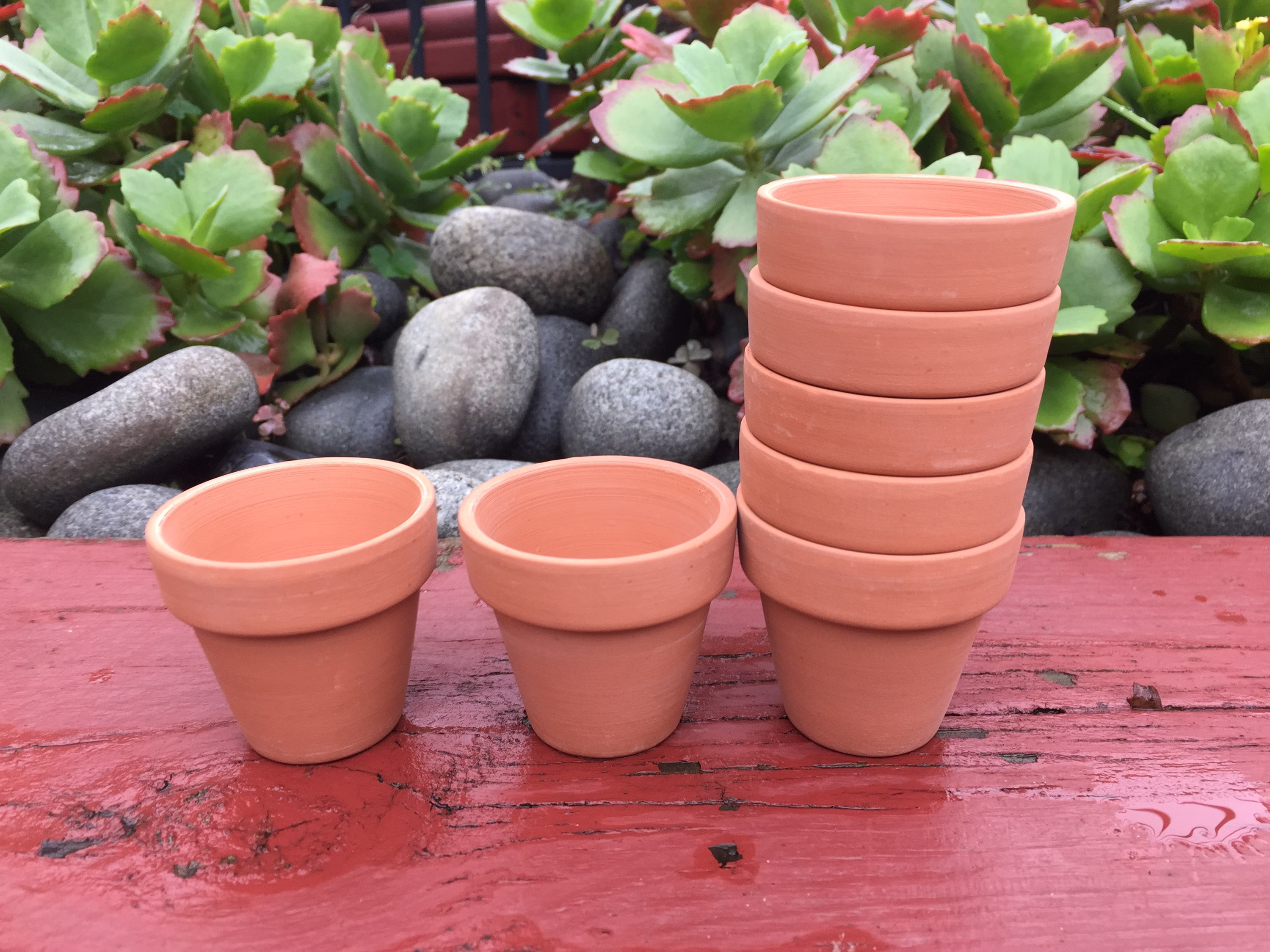 25/50/80/100/160x Mini Terracotta Pots 5.5cm Diameter 5cm Height Succulent Cactus Planters Draining Hole